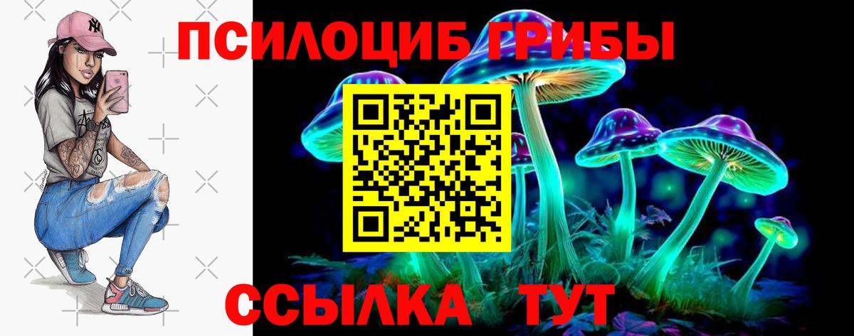 Салехард  Псилоцибиновые грибы Cubensis  Вход с VPN  Галлюциногенные грибы Psilocybine cubensis 